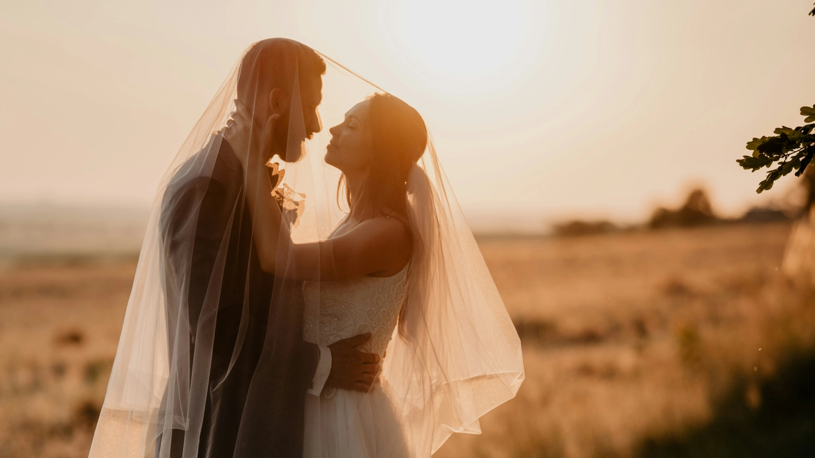 Couple sharing a kiss in a golden field at sunset